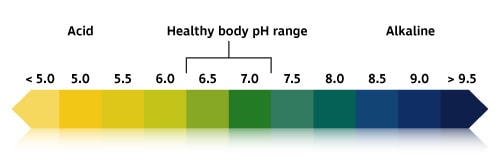 Papier pH - Mesurer votre alcalinité